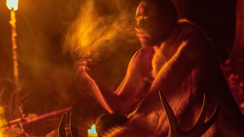 Zastosowania Ayahuaski